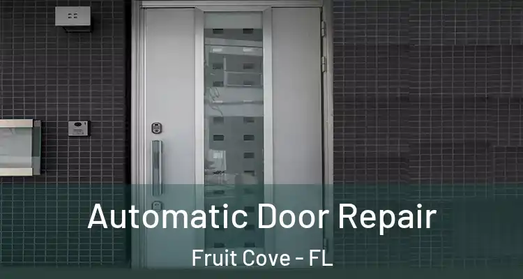  Automatic Door Repair Fruit Cove - FL