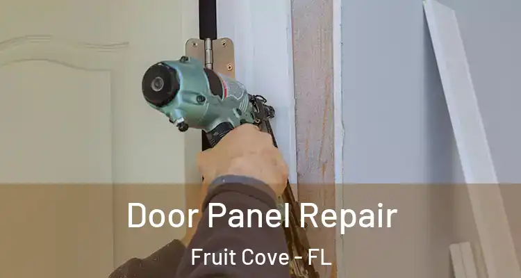  Door Panel Repair Fruit Cove - FL
