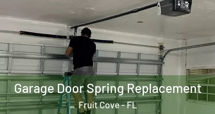  Garage Door Spring Replacement Fruit Cove - FL