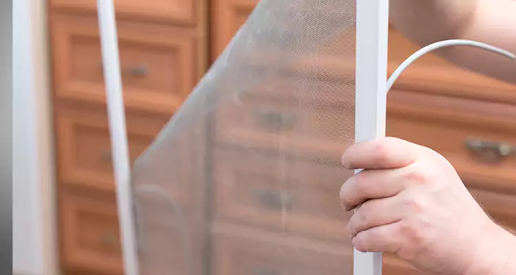 Privacy Mesh Screen Door Installation in Fruit Cove, FL