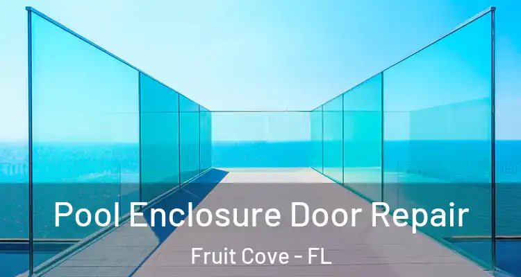  Pool Enclosure Door Repair Fruit Cove - FL
