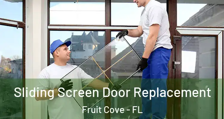  Sliding Screen Door Replacement Fruit Cove - FL