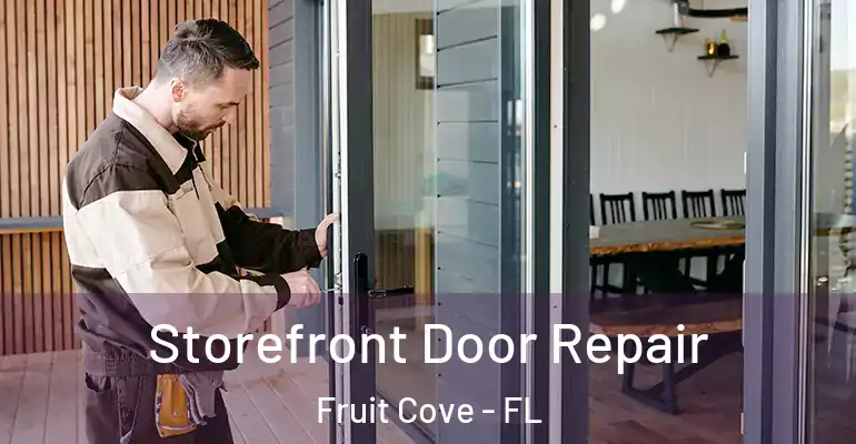  Storefront Door Repair Fruit Cove - FL